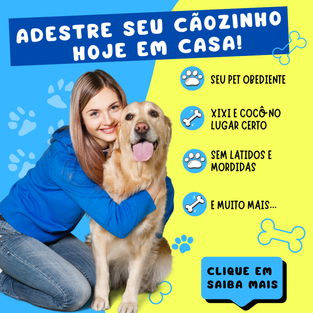 Adestramento Canino